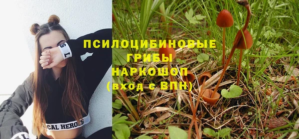 СК Алексеевка